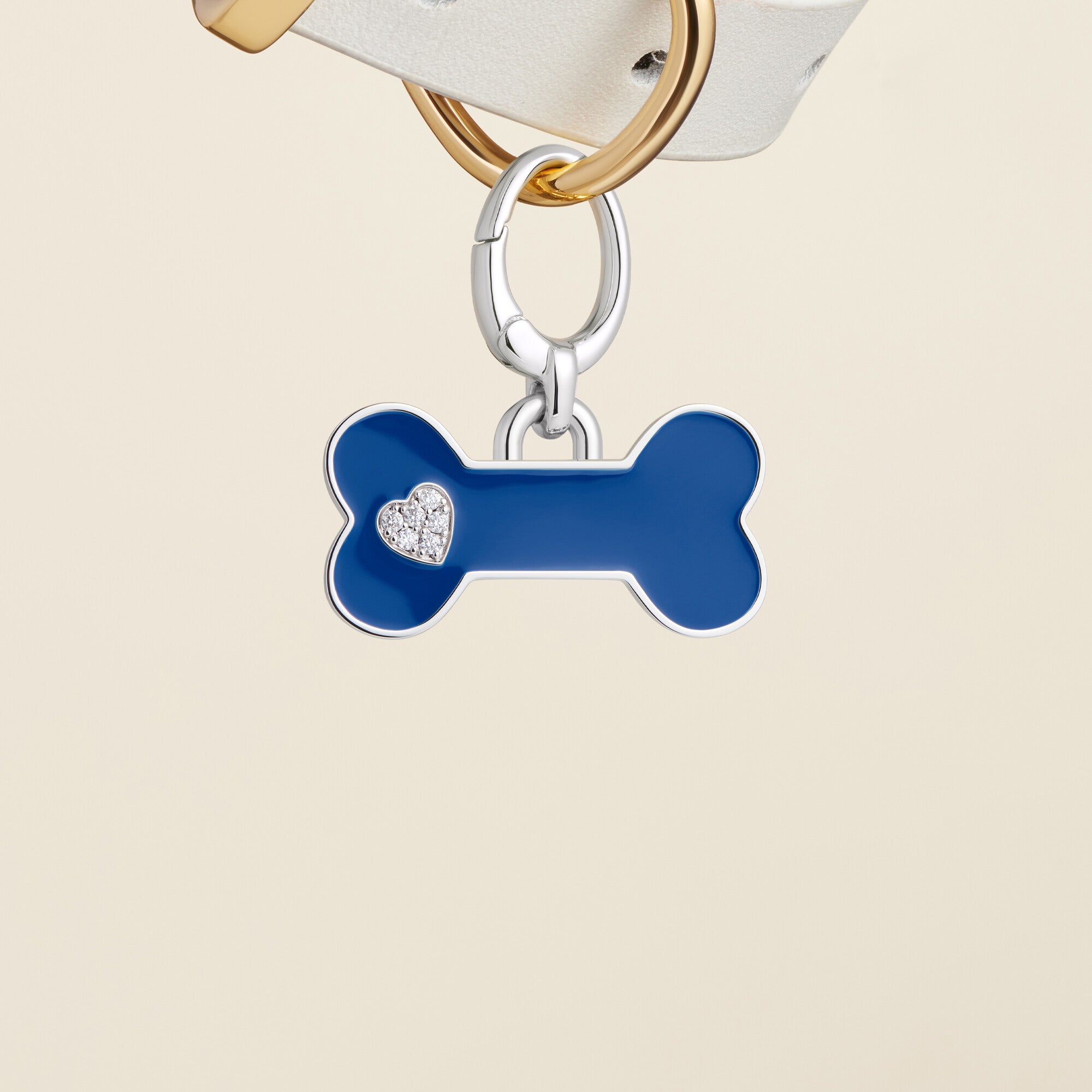 Blue Bone Enamel Pet Id Tag