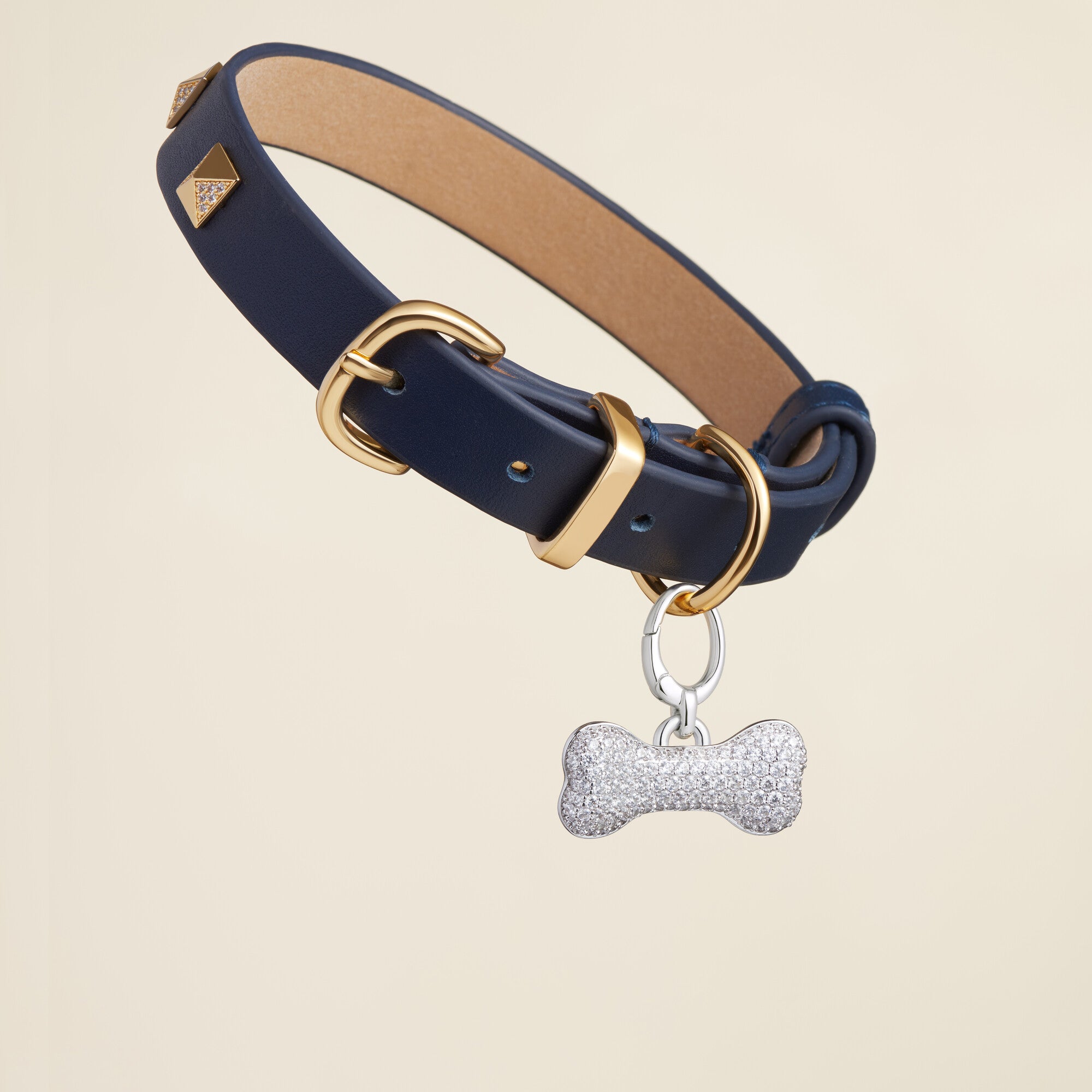 Bone-Shaped Pet Id Tag