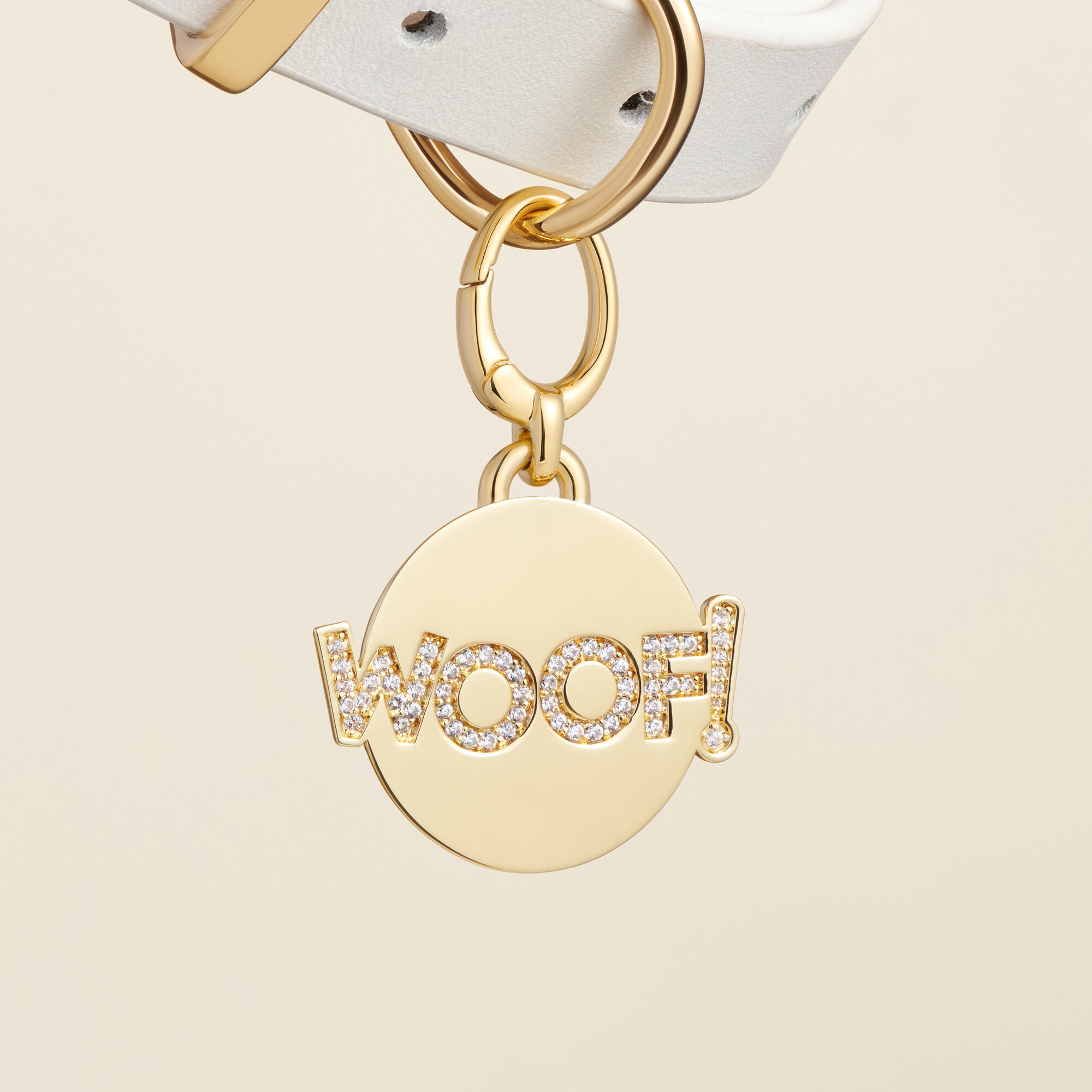 "Woof!" Pet Id Tag