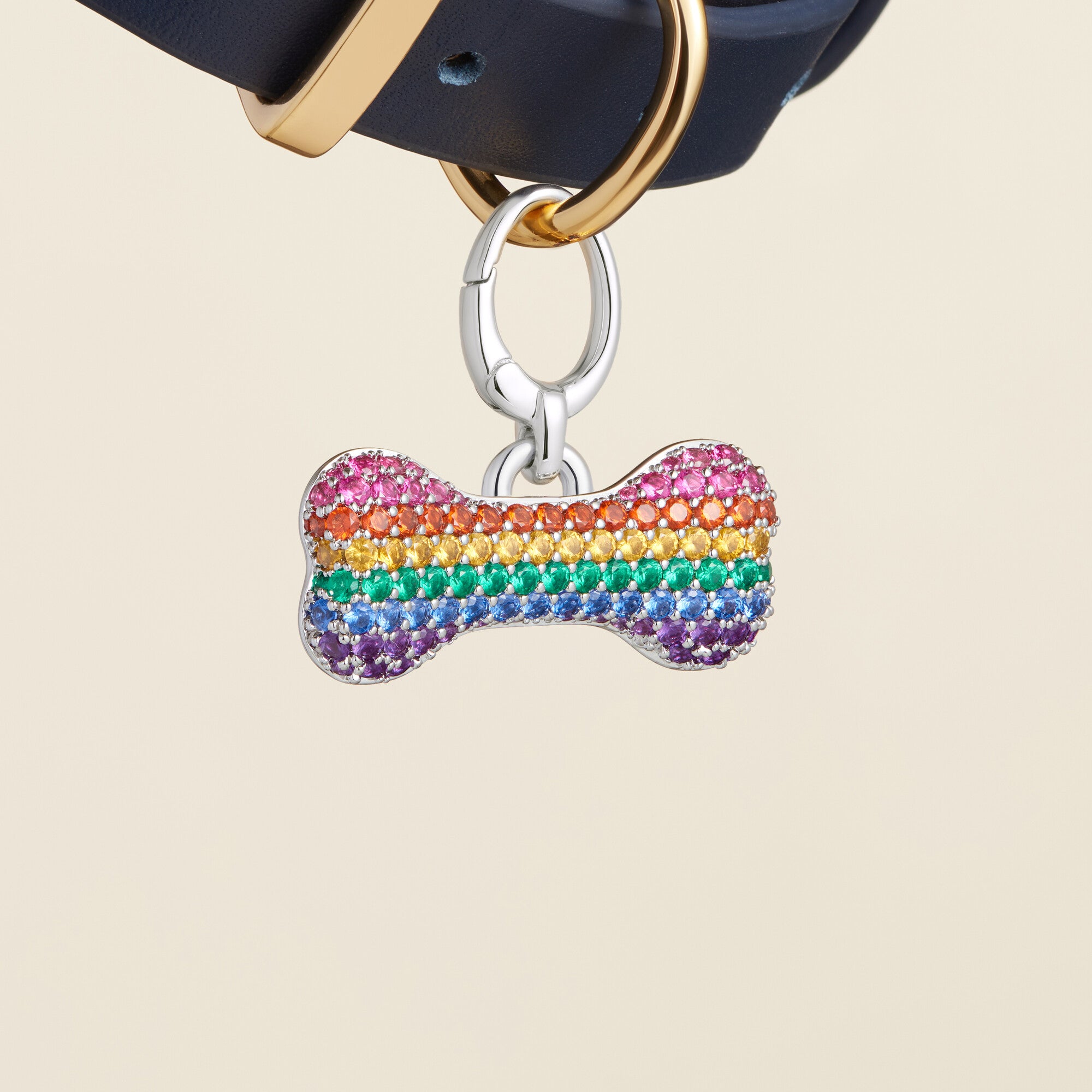 "Rainbow Pride Bone Rhodium" Pet Id Tag