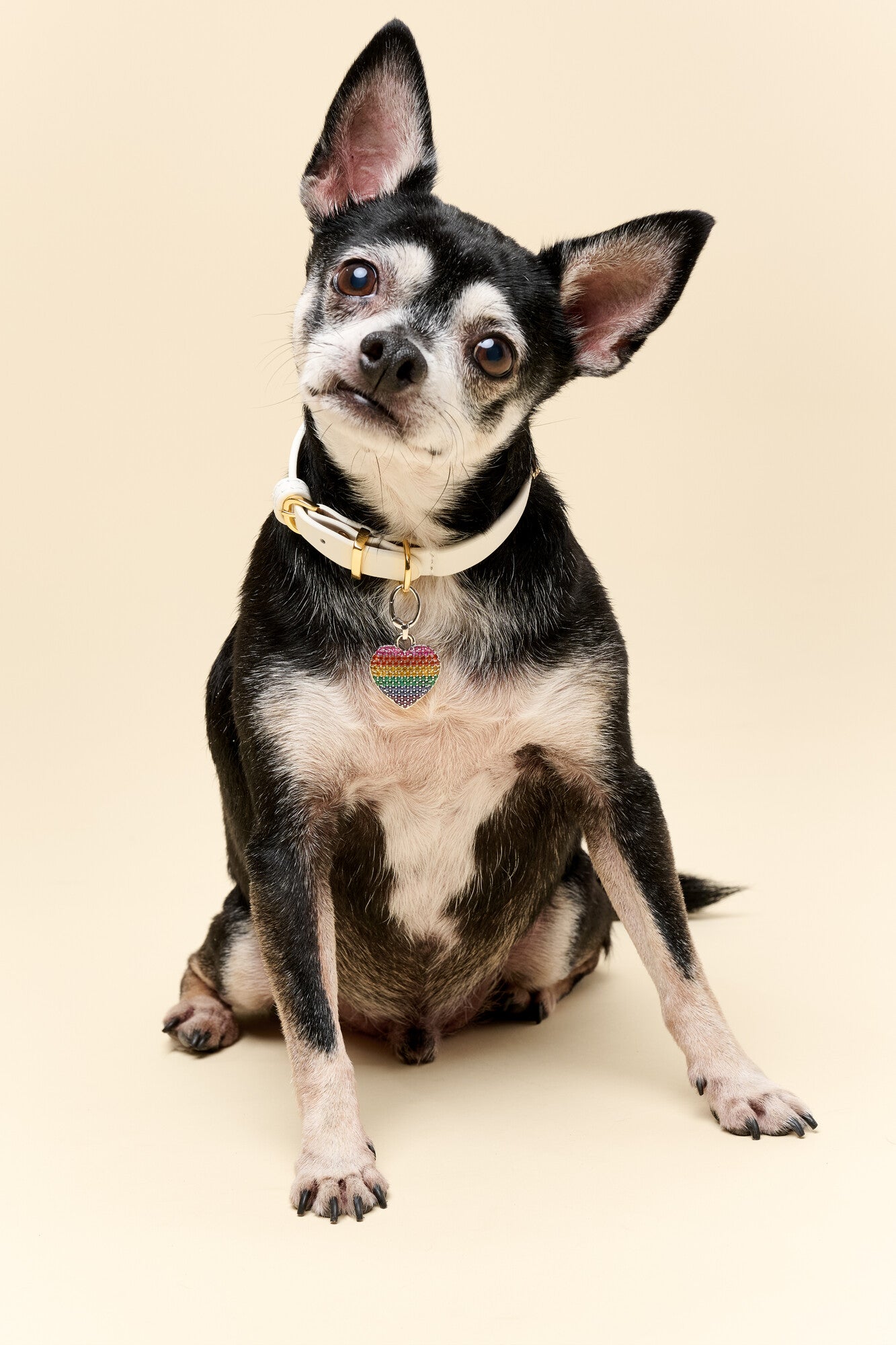 "Rainbow Pride Heart Rhodium" Pet Id Tag