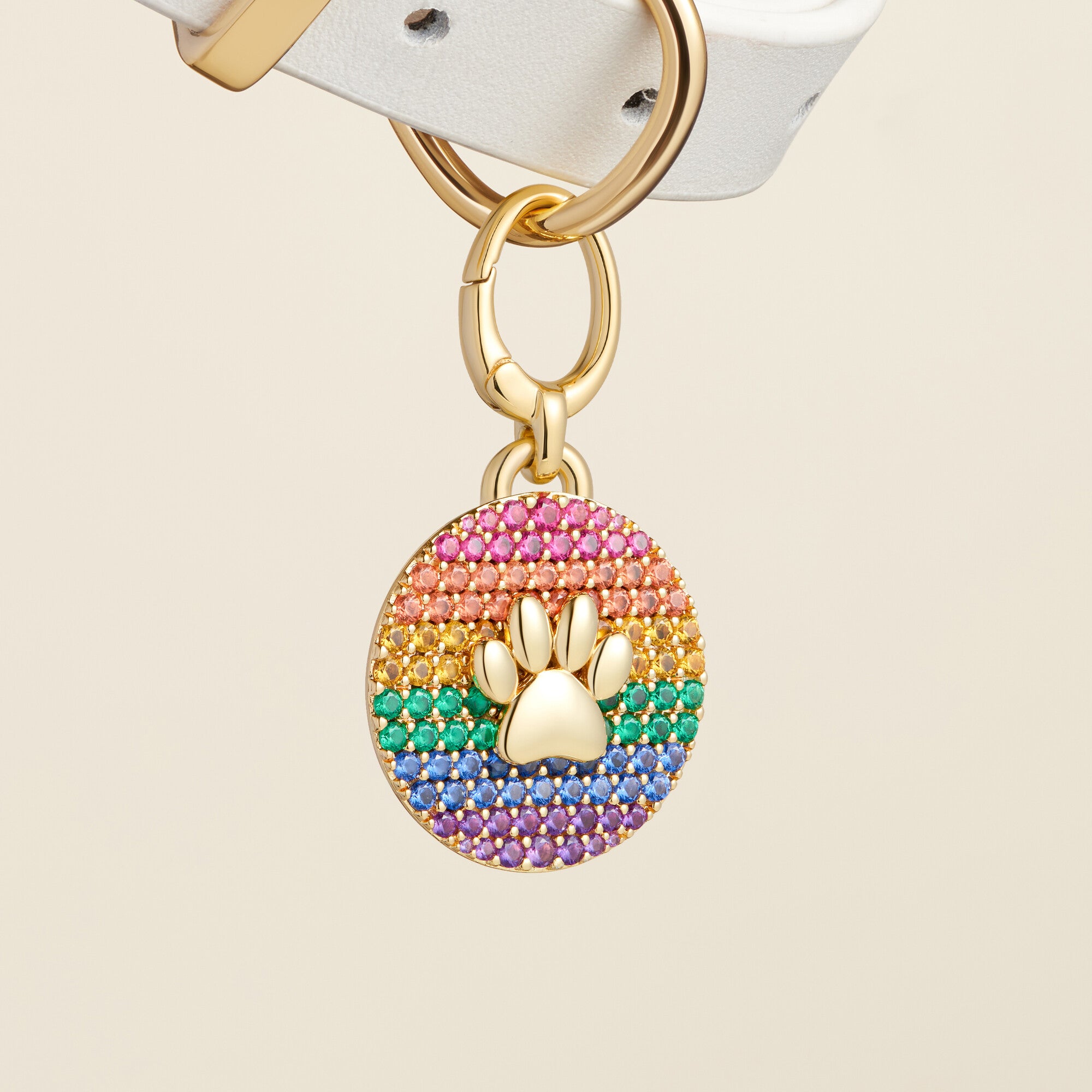 "Rainbow Pride Pawprint Gold" Pet Id Tag