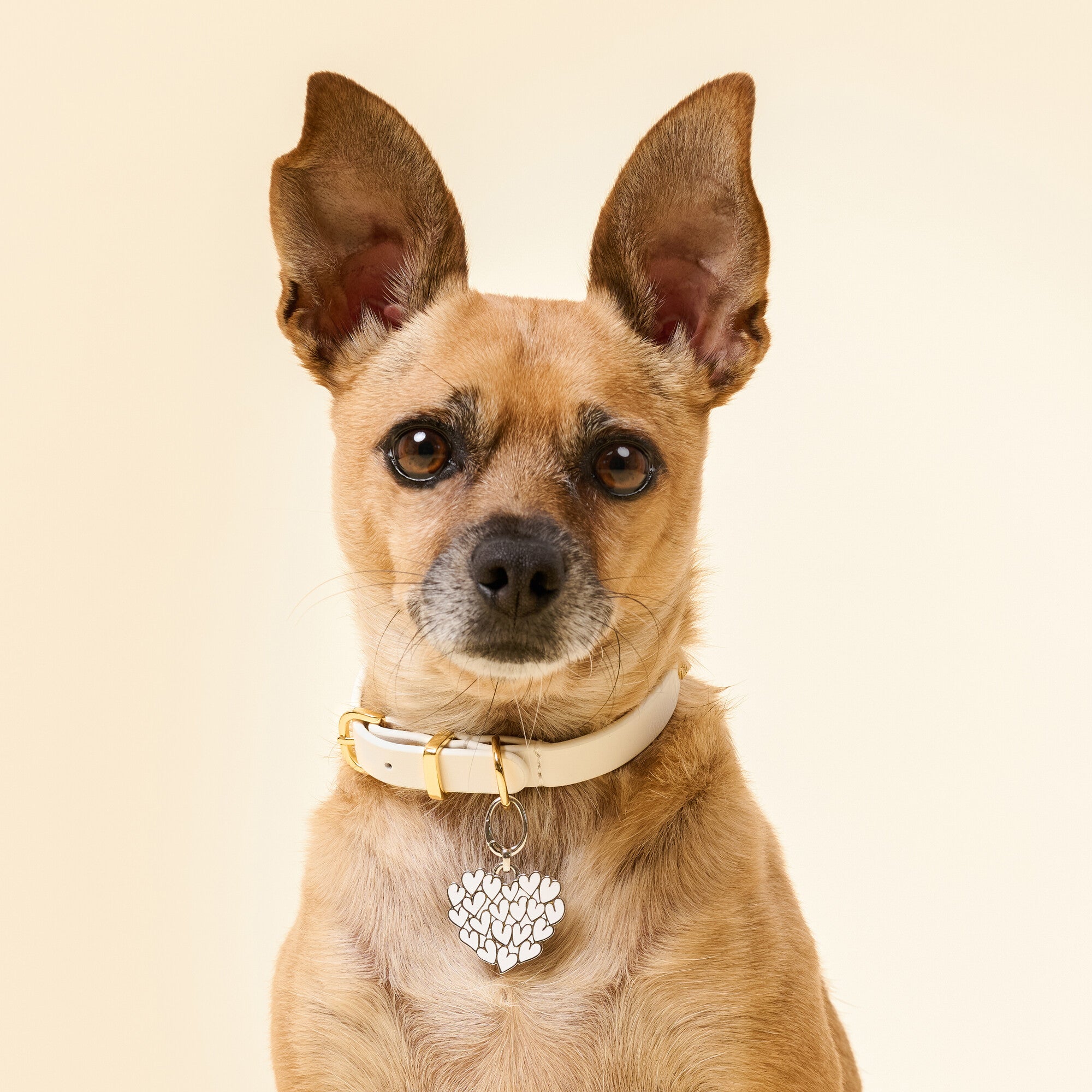 White Enamel Heart Pet Id Tag