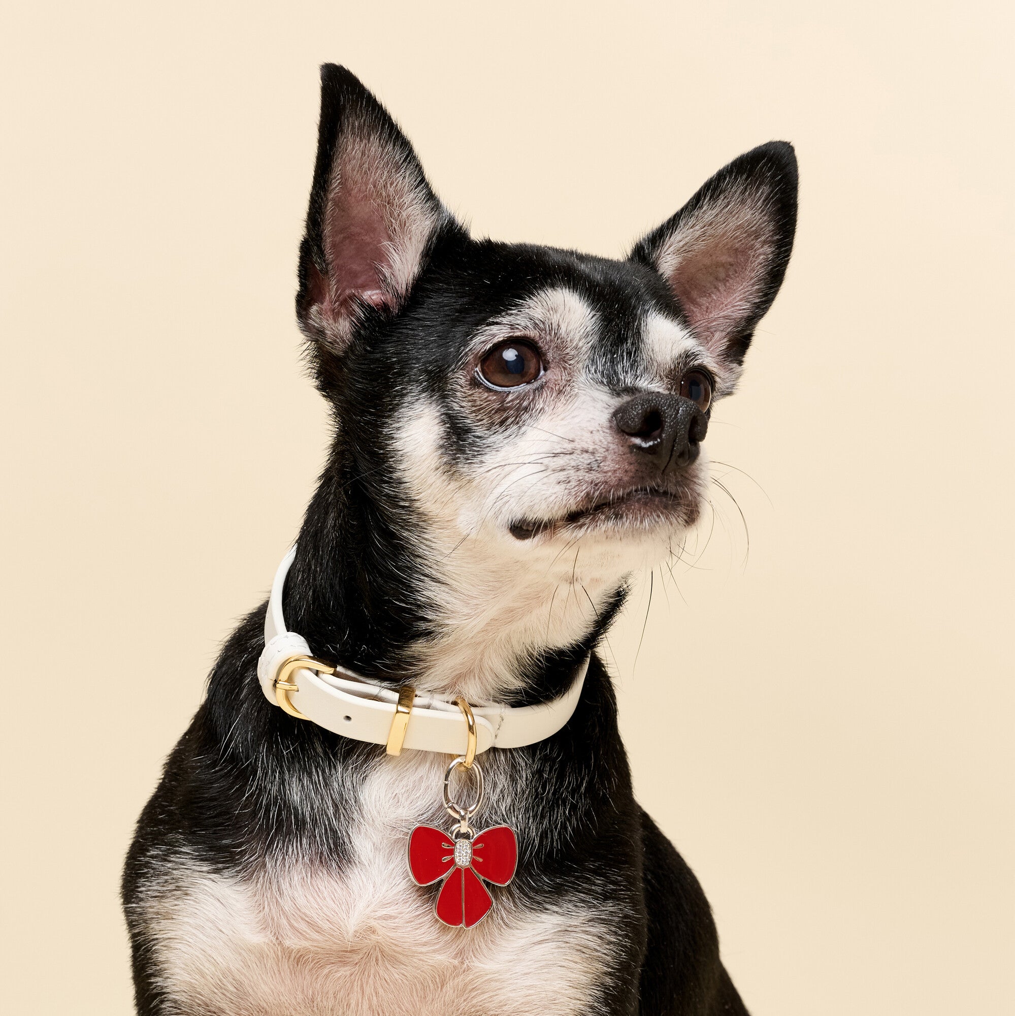 Red Enamel Bow Pet Id Tag