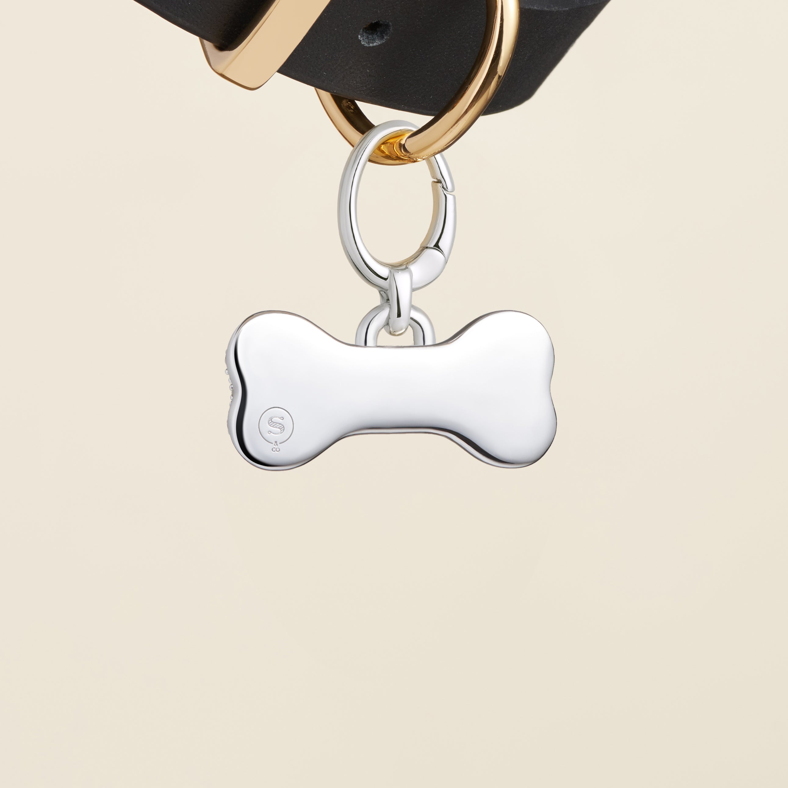 Bone-Shaped Pet Id Tag