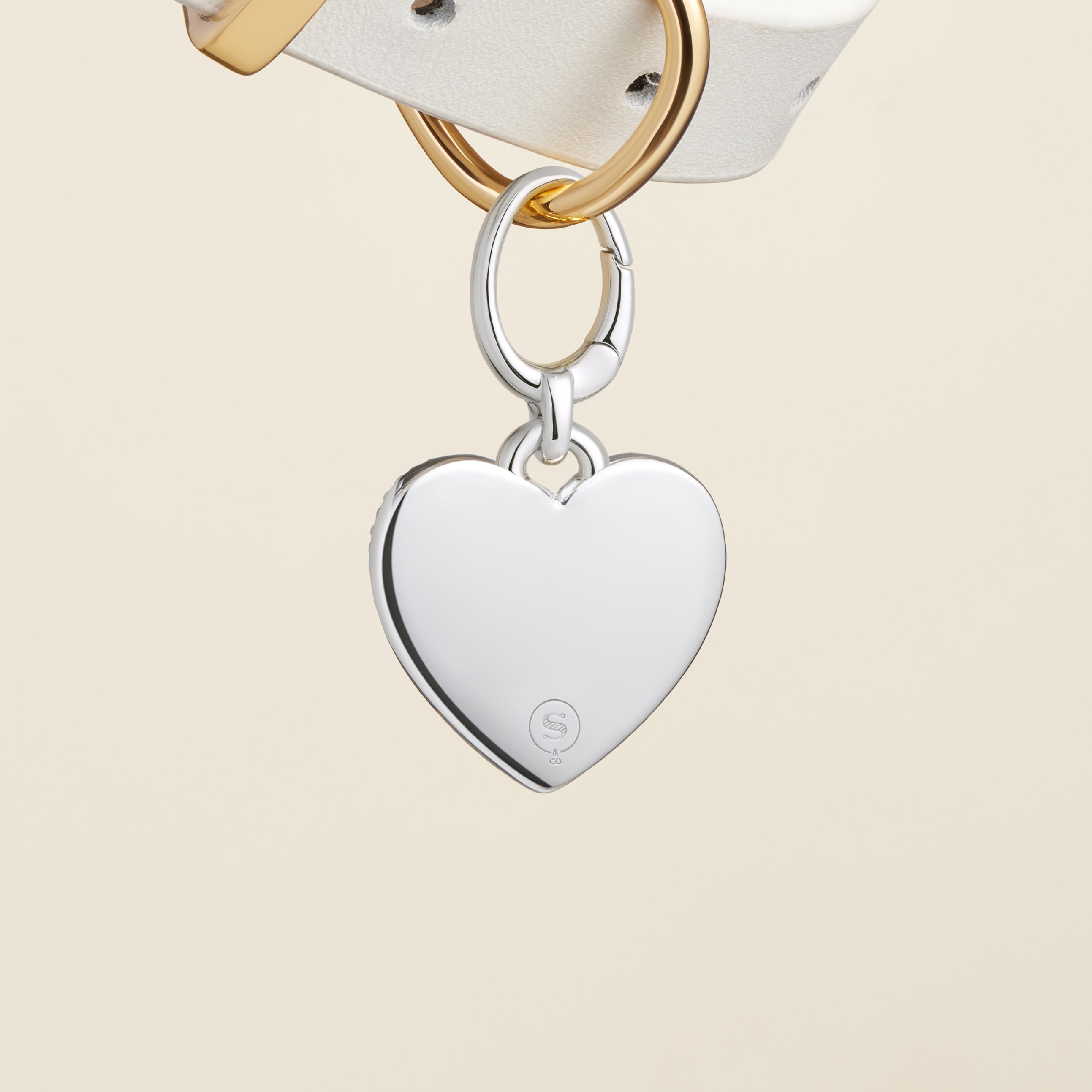 Heart-Shaped Pet Id Tag