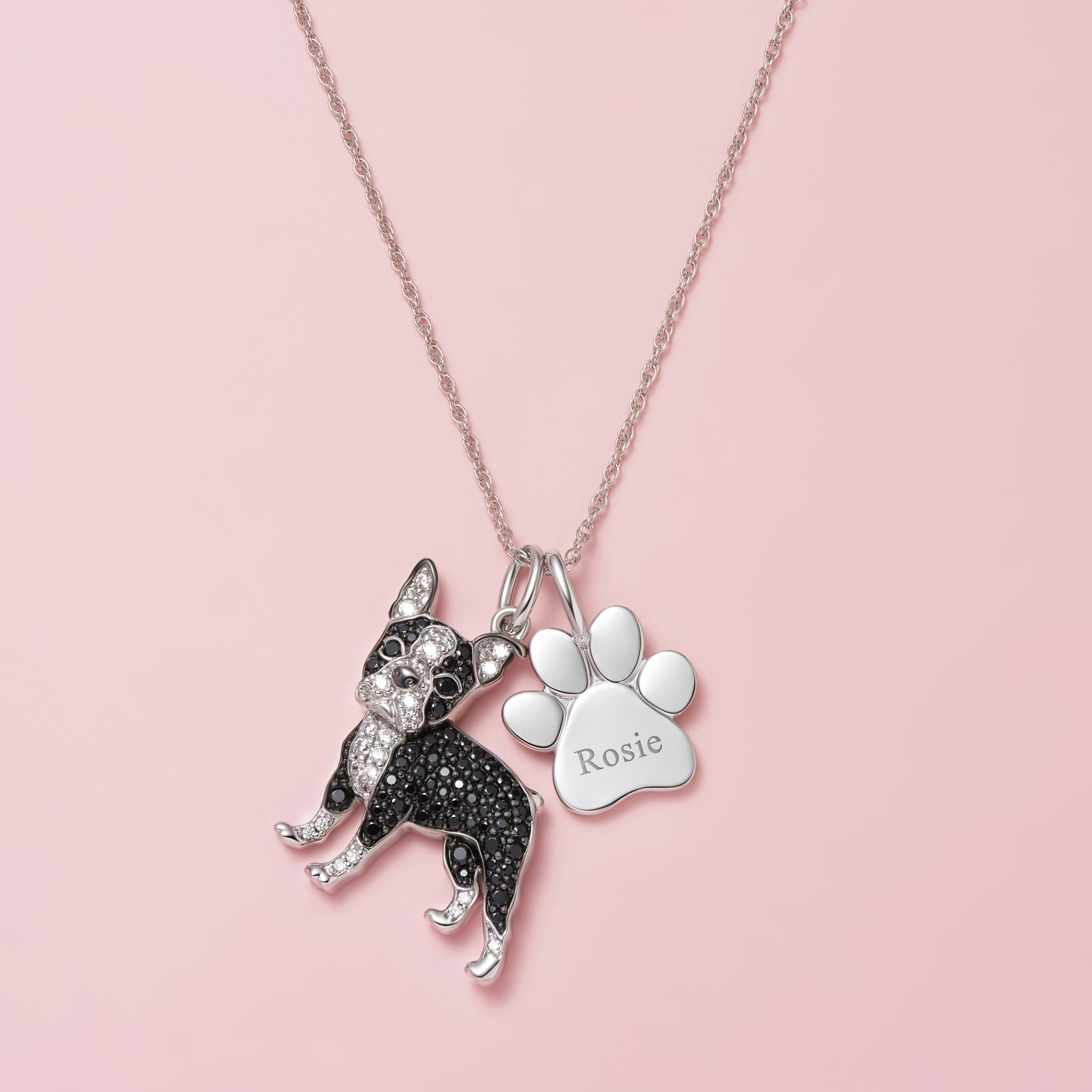 Boston Terrier orders Earrings and Necklace Set