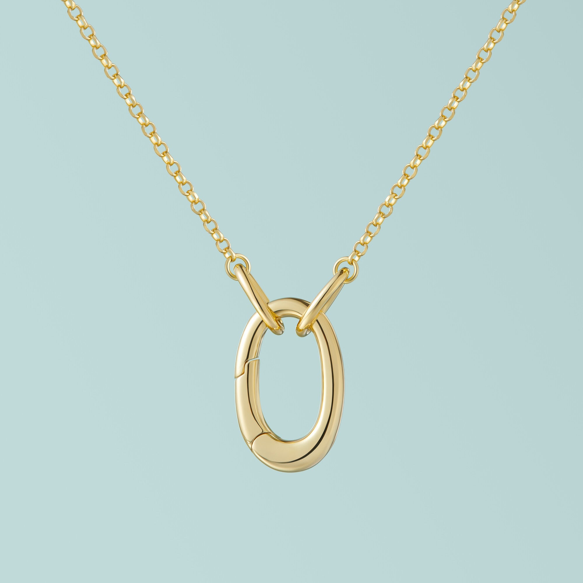 Single Carabiner Charm Necklace